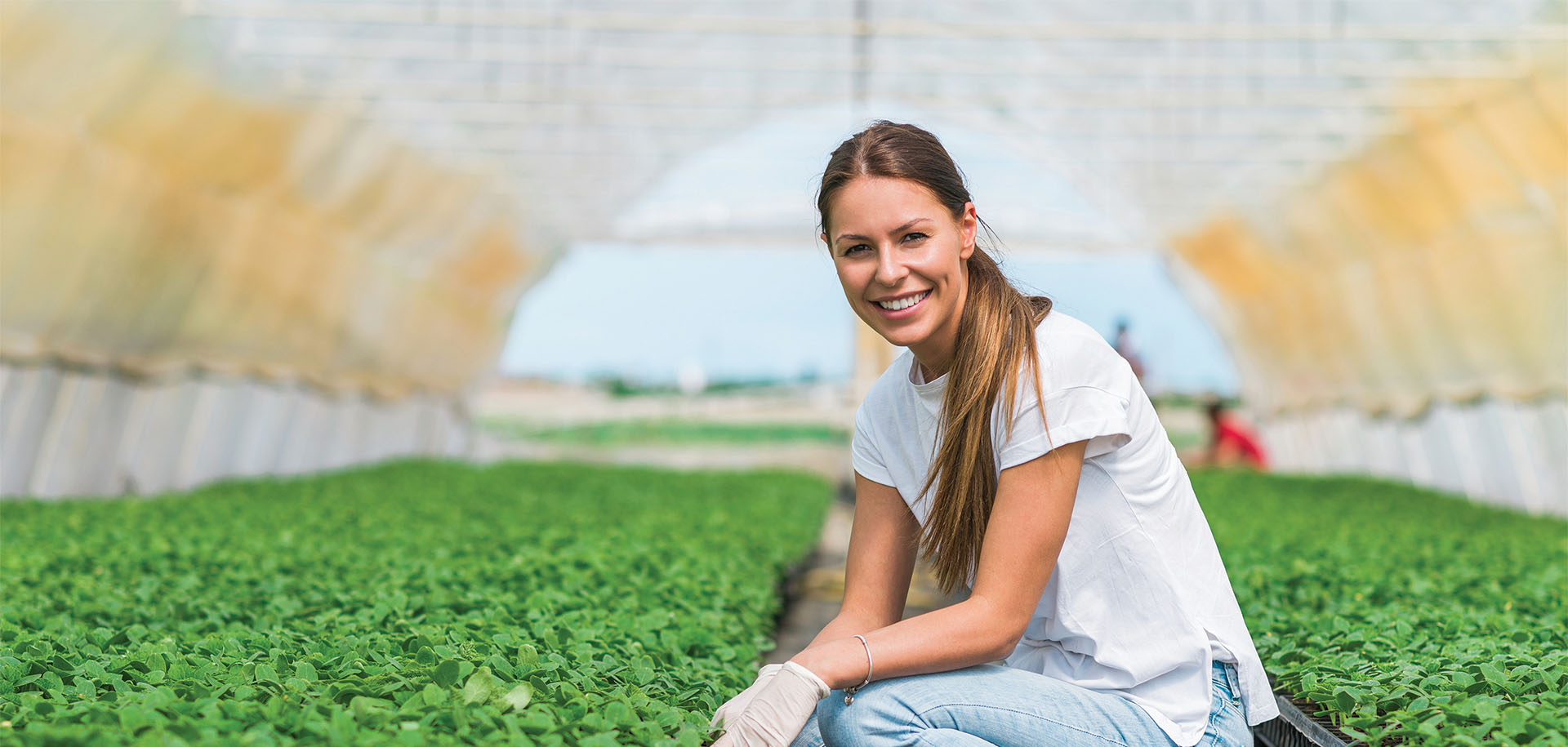 Greenhouse nursery worker