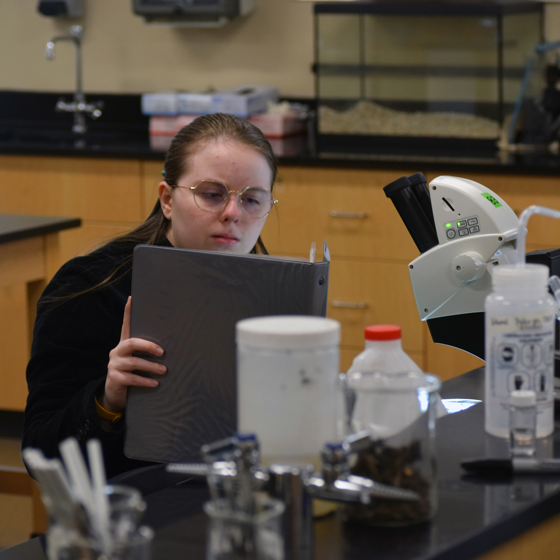 Paige matching specimens to key